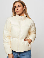 Tommy Hilfiger | Jassen | Gewatteerde jassen