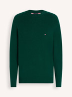 Tommy Hilfiger | Truien en Vesten | Truien