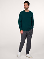 Tommy Hilfiger | Truien en Vesten | Truien