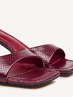 Toral | Shoes | Sandals