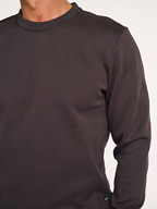 Wahts | Truien en Vesten | Sweaters en hoodies