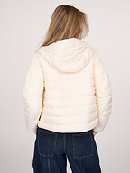 Woolrich | Jassen | Gewatteerde jassen
