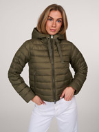 Woolrich | Jassen | Gewatteerde jassen