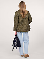 Woolrich | Jassen | Gewatteerde jassen