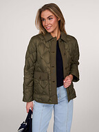 Woolrich | Jassen | Gewatteerde jassen