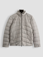 Woolrich | Jassen | Gewatteerde jassen