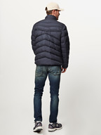 Woolrich | Jassen | Gewatteerde jassen