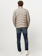 Woolrich | Jassen | Gewatteerde jassen