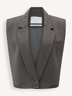 Yaya | Blazers en Jasjes | Gilets